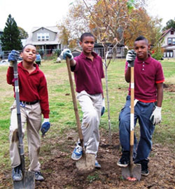 Tree Planters