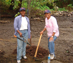 Tree Planters